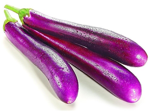1 中国茄子 China Aubergine 